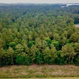 Photo of SOLD!! 39 Acres of Farm and Timber Land For Sale in Chowan County NC!