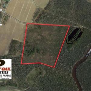 Photo of UNDER CONTRACT!  37 Acres of PRIME Bear Hunting Land For Sale in Tyrrell County NC!
