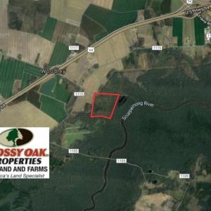 Photo of UNDER CONTRACT!  37 Acres of PRIME Bear Hunting Land For Sale in Tyrrell County NC!