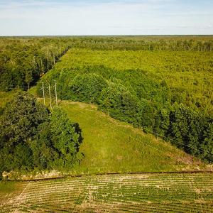 Photo of UNDER CONTRACT!  37 Acres of PRIME Bear Hunting Land For Sale in Tyrrell County NC!