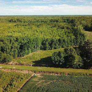Photo of UNDER CONTRACT!  37 Acres of PRIME Bear Hunting Land For Sale in Tyrrell County NC!