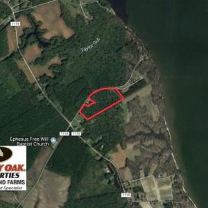 Photo of REDUCED!  18 Acres Land For Sale in Blount's Creek Beaufort County NC!