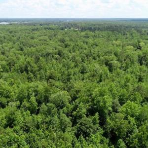 Photo of REDUCED!  18 Acres Land For Sale in Blount's Creek Beaufort County NC!