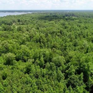 Photo of REDUCED!  18 Acres Land For Sale in Blount's Creek Beaufort County NC!