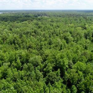 Photo of REDUCED!  18 Acres Land For Sale in Blount's Creek Beaufort County NC!