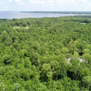 Photo of REDUCED!  18 Acres Land For Sale in Blount's Creek Beaufort County NC!