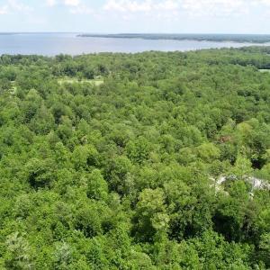Photo of REDUCED!  18 Acres Land For Sale in Blount's Creek Beaufort County NC!
