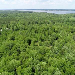 Photo of REDUCED!  18 Acres Land For Sale in Blount's Creek Beaufort County NC!