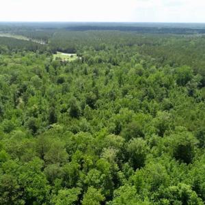 Photo of REDUCED!  18 Acres Land For Sale in Blount's Creek Beaufort County NC!