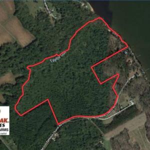 Photo of SOLD!  81.5 Acres of Waterfront Property For Sale in Blount's Creek Beaufort County NC!