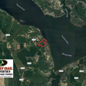 Photo of SOLD!  81.5 Acres of Waterfront Property For Sale in Blount's Creek Beaufort County NC!
