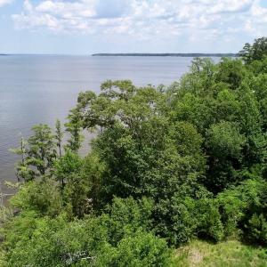 Photo of SOLD!  81.5 Acres of Waterfront Property For Sale in Blount's Creek Beaufort County NC!