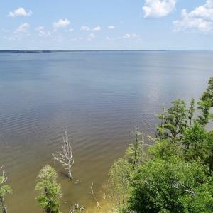 Photo of SOLD!  81.5 Acres of Waterfront Property For Sale in Blount's Creek Beaufort County NC!
