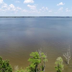 Photo of SOLD!  81.5 Acres of Waterfront Property For Sale in Blount's Creek Beaufort County NC!