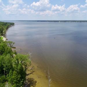 Photo of SOLD!  81.5 Acres of Waterfront Property For Sale in Blount's Creek Beaufort County NC!
