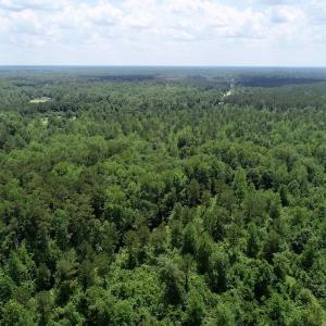 Photo of SOLD!  81.5 Acres of Waterfront Property For Sale in Blount's Creek Beaufort County NC!