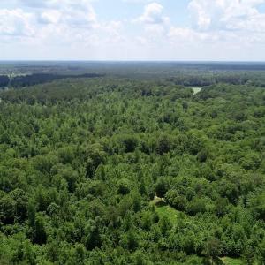 Photo of SOLD!  81.5 Acres of Waterfront Property For Sale in Blount's Creek Beaufort County NC!