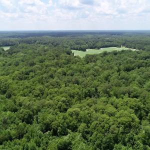 Photo of SOLD!  81.5 Acres of Waterfront Property For Sale in Blount's Creek Beaufort County NC!