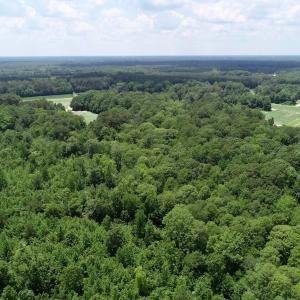 Photo of SOLD!  81.5 Acres of Waterfront Property For Sale in Blount's Creek Beaufort County NC!