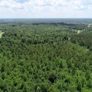 Photo of SOLD!  81.5 Acres of Waterfront Property For Sale in Blount's Creek Beaufort County NC!