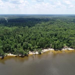 Photo of SOLD!  81.5 Acres of Waterfront Property For Sale in Blount's Creek Beaufort County NC!