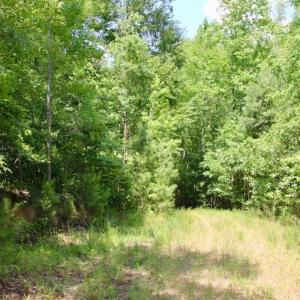 Photo of SOLD!  81.5 Acres of Waterfront Property For Sale in Blount's Creek Beaufort County NC!