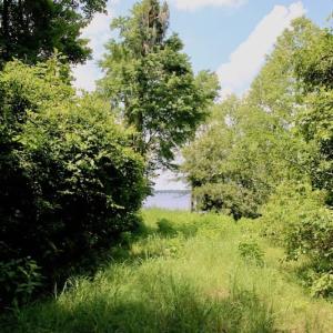 Photo of SOLD!  81.5 Acres of Waterfront Property For Sale in Blount's Creek Beaufort County NC!