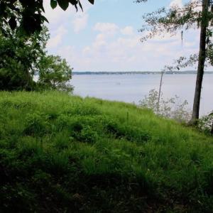 Photo of SOLD!  81.5 Acres of Waterfront Property For Sale in Blount's Creek Beaufort County NC!