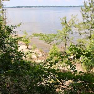 Photo of SOLD!  81.5 Acres of Waterfront Property For Sale in Blount's Creek Beaufort County NC!