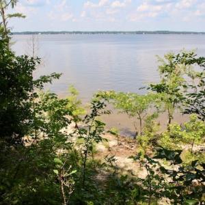 Photo of SOLD!  81.5 Acres of Waterfront Property For Sale in Blount's Creek Beaufort County NC!