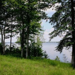 Photo of SOLD!  81.5 Acres of Waterfront Property For Sale in Blount's Creek Beaufort County NC!