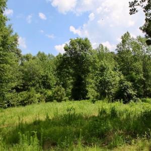 Photo of SOLD!  81.5 Acres of Waterfront Property For Sale in Blount's Creek Beaufort County NC!