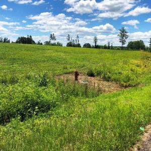 Photo of SOLD!!  4.5 Acres of Residential Land For Sale in Warren County NC!