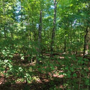 Photo of SOLD!!  4.5 Acres of Residential Land For Sale in Warren County NC!