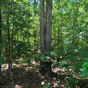 Photo of SOLD!!  4.5 Acres of Residential Land For Sale in Warren County NC!