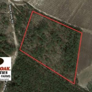 Photo of UNDER CONTRACT!  10.5 Acres of Hunting and Timberland For Sale in Bladen County NC!
