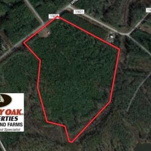 Photo of SOLD!!  40 Acres of Waterfront Residential and Timber Land For Sale in Beaufort County NC!