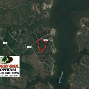 Photo of SOLD!!  40 Acres of Waterfront Residential and Timber Land For Sale in Beaufort County NC!