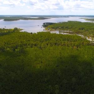 Photo of SOLD!!  40 Acres of Waterfront Residential and Timber Land For Sale in Beaufort County NC!