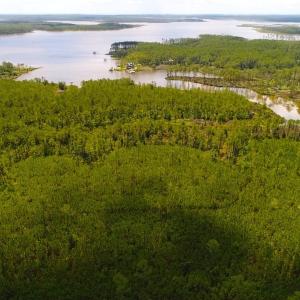 Photo of SOLD!!  40 Acres of Waterfront Residential and Timber Land For Sale in Beaufort County NC!
