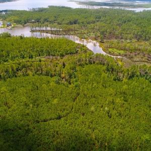 Photo of SOLD!!  40 Acres of Waterfront Residential and Timber Land For Sale in Beaufort County NC!
