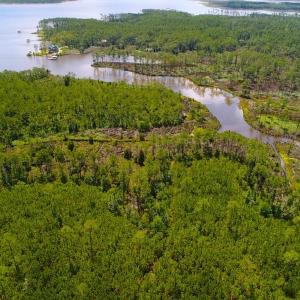 Photo of SOLD!!  40 Acres of Waterfront Residential and Timber Land For Sale in Beaufort County NC!