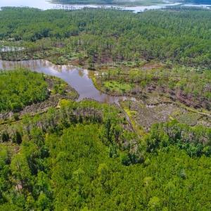 Photo of SOLD!!  40 Acres of Waterfront Residential and Timber Land For Sale in Beaufort County NC!