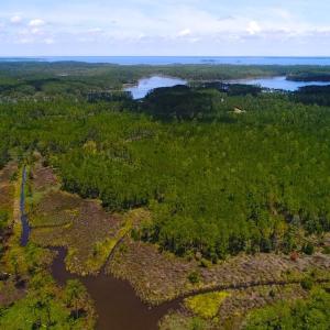 Photo of SOLD!!  40 Acres of Waterfront Residential and Timber Land For Sale in Beaufort County NC!