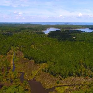 Photo of SOLD!!  40 Acres of Waterfront Residential and Timber Land For Sale in Beaufort County NC!