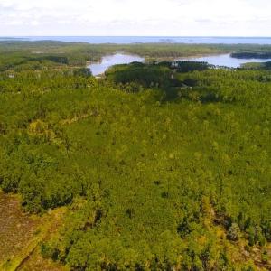Photo of SOLD!!  40 Acres of Waterfront Residential and Timber Land For Sale in Beaufort County NC!
