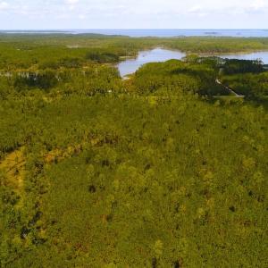 Photo of SOLD!!  40 Acres of Waterfront Residential and Timber Land For Sale in Beaufort County NC!