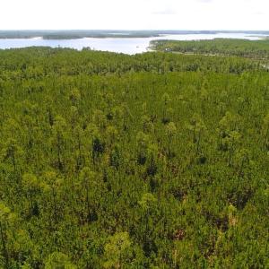 Photo of SOLD!!  40 Acres of Waterfront Residential and Timber Land For Sale in Beaufort County NC!