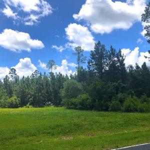 Photo of SOLD!!  40 Acres of Waterfront Residential and Timber Land For Sale in Beaufort County NC!