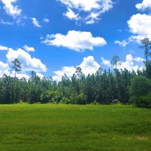 Photo of SOLD!!  40 Acres of Waterfront Residential and Timber Land For Sale in Beaufort County NC!